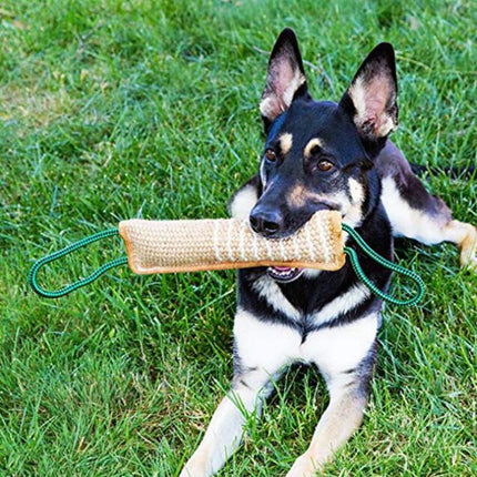 Dog Training Hemp Bite Stick Dog Bite Stick Dog Training Supplies, A1, A2, A3, A4, A5 - DealBuddy
