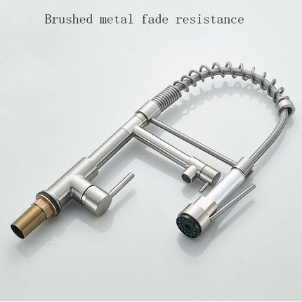 Copper And Nickel Brushed Double Outlet Spring Faucet Rotatable Kitchen Hot And Cold Water Faucet