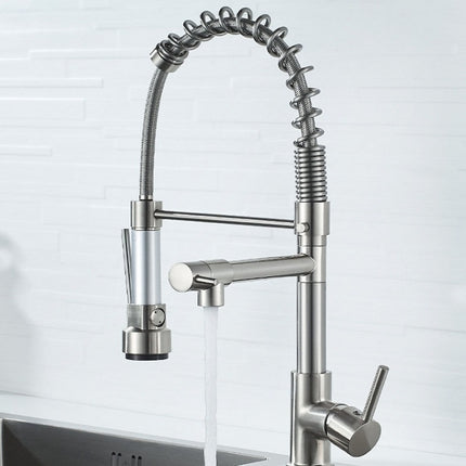 Copper And Nickel Brushed Double Outlet Spring Faucet Rotatable Kitchen Hot And Cold Water Faucet