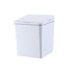 6L Battery Version (White)