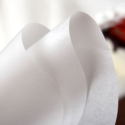 1 Set Double-Sided Silicone Oil Baking Paper Cake Biscuit Pizza Tray Non-Stick Greaseproof Paper