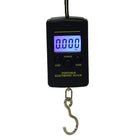 10g Mini Digital Fishing Scale Travel Weighting Steelyard Hanging Electronic Hook Scale Kitchen Weight Tool, Capacity:40kg