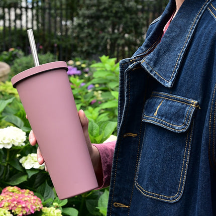 700ml Large Capacity Double Stainless Steel Straw Cup Vacuum Outdoor 304 Insulation Cup Car Water Cup, Khaki, Cinnabar Orange, Lilac Purple, Pink, Glazed Green, Moss Green, Dark Gray, Indigo, Ink Black, Gray Green, Light Pink, Green White, Lake Blue - DealBuddy