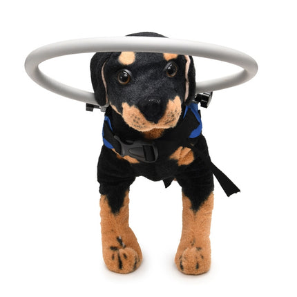 Dog Blindness Anti-Collision Ring Animal Protection Ring Cover Guide Ring, S, M - DealBuddy