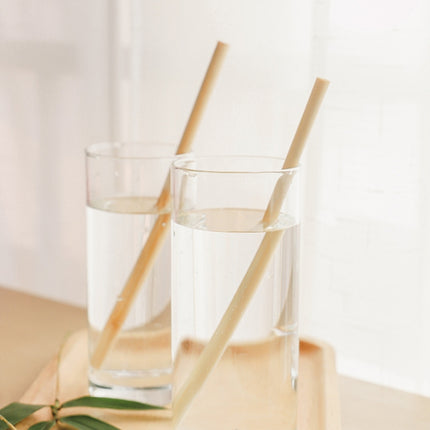 10 PCS Juice Coffee Pearl Milk Tea Natural Degradable Bamboo Straw, Style:, 20cm Flat, 20cm Oblique - DealBuddy