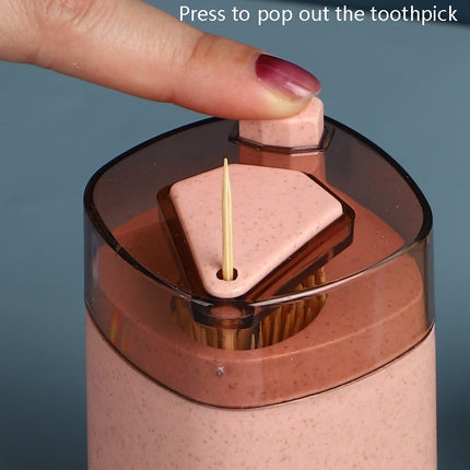 MS-263 Press Toothpick Box Kitchen Gadget
