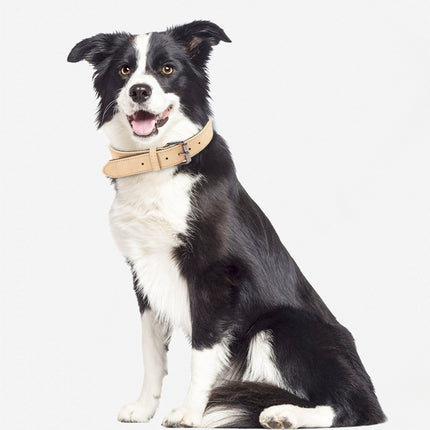 JINMAOHOU Dogs Double-Layer Leather Collar, XS 34x1.7cm, S 39x2.2cm, M 49x2.7cm, L 59x3.2cm - DealBuddy
