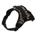 S / Leopard