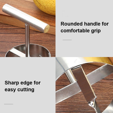 304 Stainless Steel Fruit Core Puller Core Digger - DealBuddy