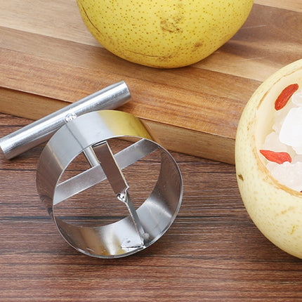 304 Stainless Steel Fruit Core Puller Core Digger - DealBuddy