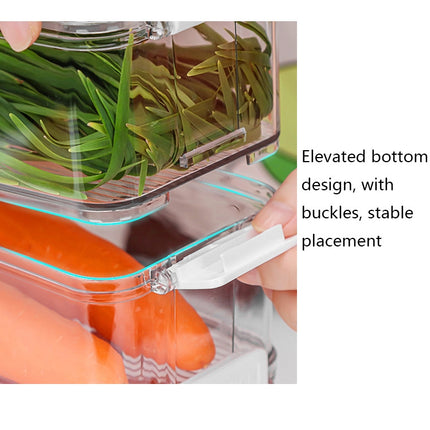 Fruit and Vegetable Refrigerator Crisper with Lid, With Lid, TY-9078, TY-9079, TY-9081, TY-9082 - DealBuddy