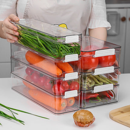 Fruit and Vegetable Refrigerator Crisper with Lid, With Lid, TY-9078, TY-9079, TY-9081, TY-9082 - DealBuddy