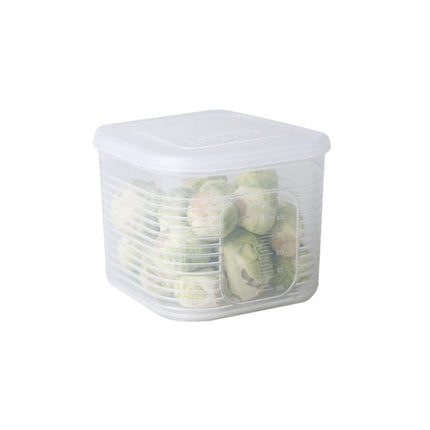 A2958 Chopped Onion Garlic Refrigerator Preservation Box with Lid