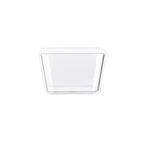 Quadrilateral (Transparent)