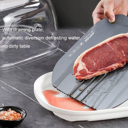Frozen Food Quick Thaw Tray Thaw Plate, Quick Thaw Tray(Gray), Quick Thaw Tray(Golden) - DealBuddy