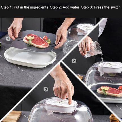 Frozen Food Quick Thaw Tray Thaw Plate, Quick Thaw Tray(Gray), Quick Thaw Tray(Golden) - DealBuddy