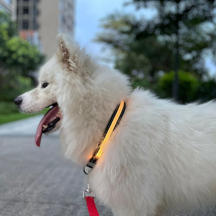 LED Rechargeable Wear-resistant and Waterproof Pet Lighting Collar, Size:, XS, S, M, L - DealBuddy