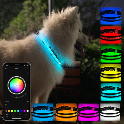 LED Rechargeable Wear-resistant and Waterproof Pet Lighting Collar, Size:, XS, S, M, L - DealBuddy