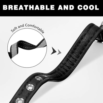 CL181K Pet Soft Reflecting Collar, M No Iron Sheet Dark Brown, XXL No Iron Sheet Light Green, S No Iron Sheet Light Green, M No Iron Sheet Light Brown, XXL No Iron Sheet Purple, S No Iron Sheet Purple, M No Iron Sheet Red, XXL No Iron Sheet Dark Brown ... - DealBuddy