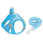 S / Blue