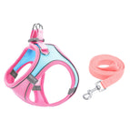 S / Blue Pink