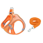 M / Vitality Orange