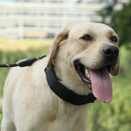 Cloth Tape Paste Detachable Training Stimulation Dog Collar, M 2.5mm x 35cm, L 3.0mm x 50cm, XL 3.5mm x 55cm, XXL 4.0mm x 60cm - DealBuddy
