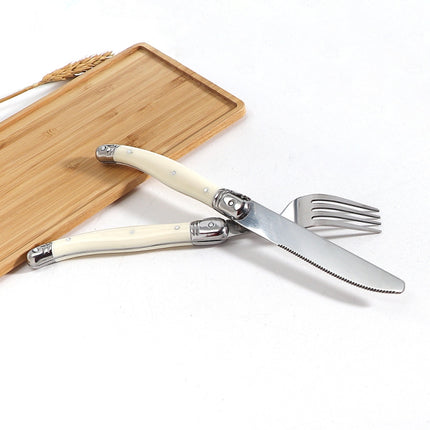 Stainless Steel Knife Fork Spoon Set Plastic Handle Western Tableware, 6 Forks, 6 Spoons, 6 Tea Spoons - DealBuddy