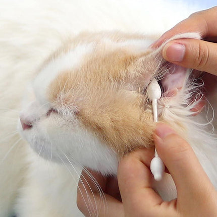 2boxes Pet Cotton Swabs Cat Dog Ear Cleaning Supplies, Pet Cotton Swabs - DealBuddy