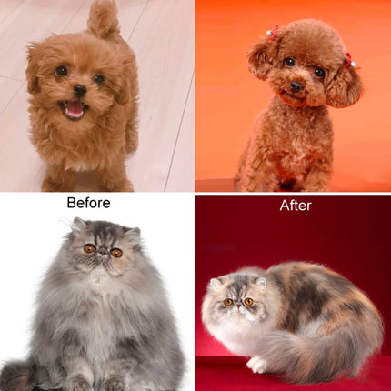 Pet Grooming Scissors Dog Cat Hair Trimming Haircutting Tools, Style:, Straight Shear, Teeth Shears - DealBuddy