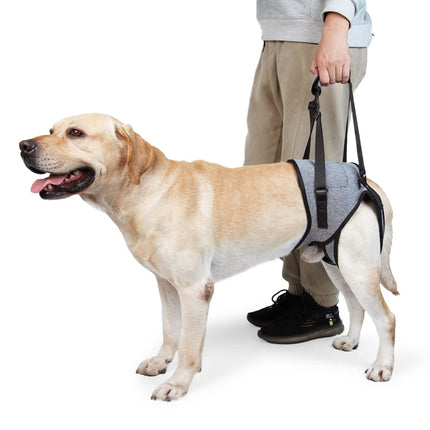 Dog Hind Leg Auxiliary Strap Decompression Auxiliary Travel Belt For Elderly and Injured Dog, S, M, L - DealBuddy