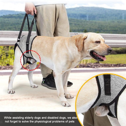 Dog Hind Leg Auxiliary Strap Decompression Auxiliary Travel Belt For Elderly and Injured Dog, S, M, L - DealBuddy