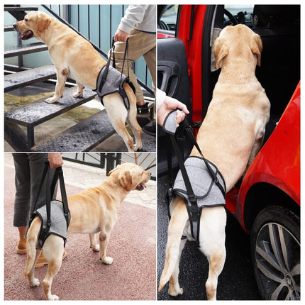Dog Hind Leg Auxiliary Strap Decompression Auxiliary Travel Belt For Elderly and Injured Dog, S, M, L - DealBuddy