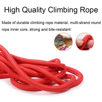 Sh36 Rock Climbing Rope Pet Leash Bold and Long Dog Training Tracking Rope, 1.5m, 2m, 5m, 10m, 3m - DealBuddy