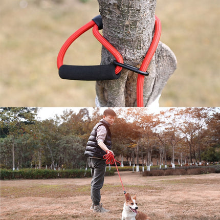 Sh36 Rock Climbing Rope Pet Leash Bold and Long Dog Training Tracking Rope, 1.5m, 2m, 5m, 10m, 3m - DealBuddy