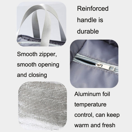 Portable Insulation Bag Waterproof Small Meal Bag Aluminum Foil Thickened Lunch Bag - DealBuddy