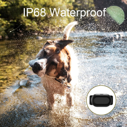 Dog Training Collar Smart 400m Remote Control Pet Training Device, T300, Receiver - DealBuddy