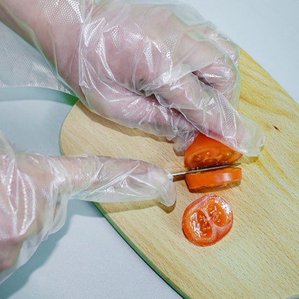 Disposable Gloves Transparent Food Catering Protective Glove - DealBuddy