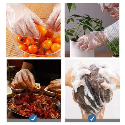Disposable Gloves Transparent Food Catering Protective Glove - DealBuddy