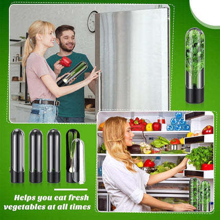 Herb Crisper Vegetable Keep Fresh Container Cilantro Herb Storage Container