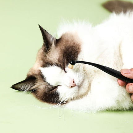 Pet Eye Cleaning Tear Stain Brush Eye Makeup Brush For Dogs And Cats - DealBuddy