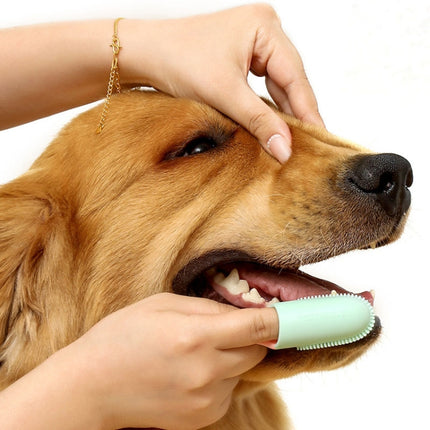 Pets Finger Toothbrush With Handle Dogs And Cats Oral Cleaning Tools - DealBuddy
