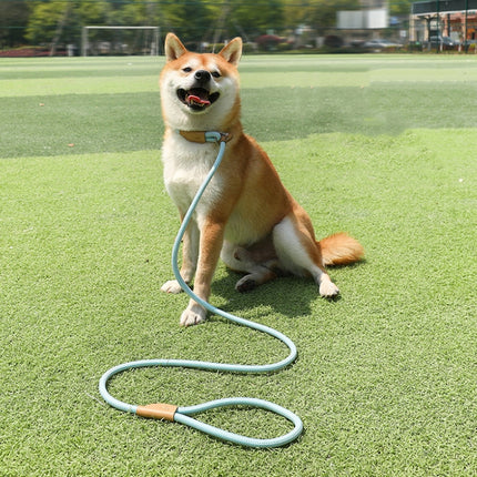 Dog Traction Rope Mid Large Dog Universal Safety Buckle Chain Circle, 1.5m x 0.6cm, 1.5m x 0.8cm, 1.5m x 1cm, 1.8m x 0.6cm, 1.8m x 0.8cm, 1.8m x 1cm - DealBuddy