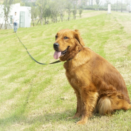 Pet Tracking Dog Collar Leash Dog Training Lengthened Traction Leash, 2.5cm x 3m, 2.5cm x 5m, 2.5cm x 10m, 2.5cm x 15m, 2.5cm x 20m, 2.5cm x 30m - DealBuddy