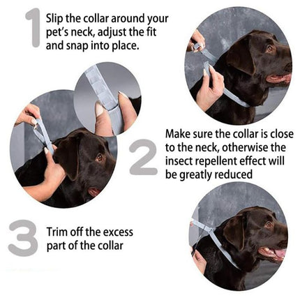 Flea and Tick Collar for Dogs Cats With Aluminum Case, 72cm Gray, 72cm Orange, 72cm Blue, 38cm Orange, 38cm Pink, 38cm Blue - DealBuddy