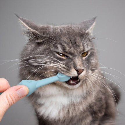 2pcs / Set Cats And Dogs Silicone Toothbrush Pet Oral Cleaning Care Tool - DealBuddy
