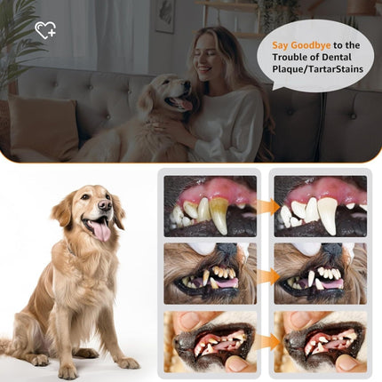 Pet Ultrasonic Teeth Cleaner Dog Electric Teeth Cleaning Tool Home Dentistry Tartar Remover - DealBuddy