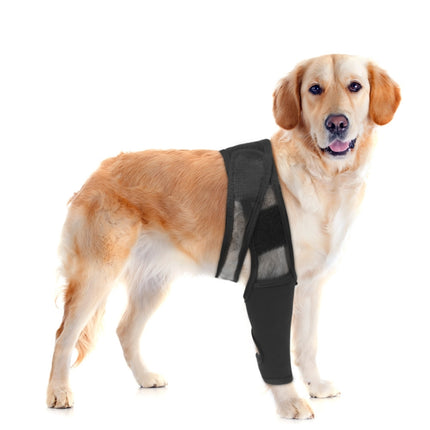 Dog Leg Fracture Protection Injury Support Belt, S, M, L, XL - DealBuddy