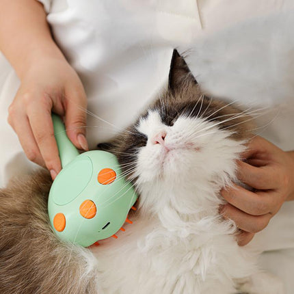 Pet Cleaning Spray Massage Comb - DealBuddy