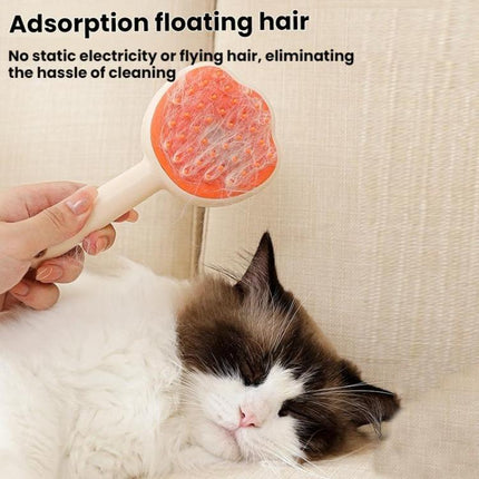 Pet Cleaning Spray Massage Comb - DealBuddy